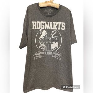 Hogwarts Wiarding  World Heather Grey Four Houses T-Shirt Tee shirt Sz XL